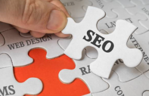 SEO Specialist